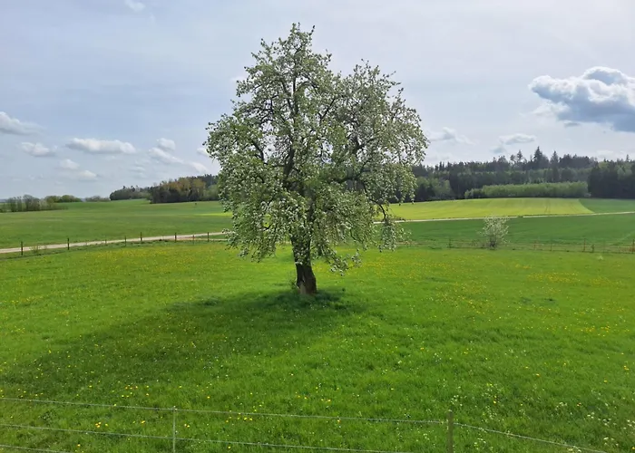 Gaestehaus Plath * Wettringen