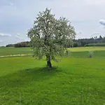 Gaestehaus Plath * Wettringen